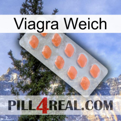 Viagra Soft 26